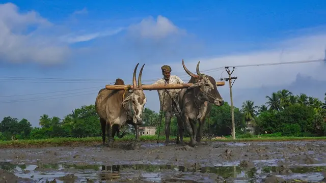 கந்தவேலு, புதுச்சேரி