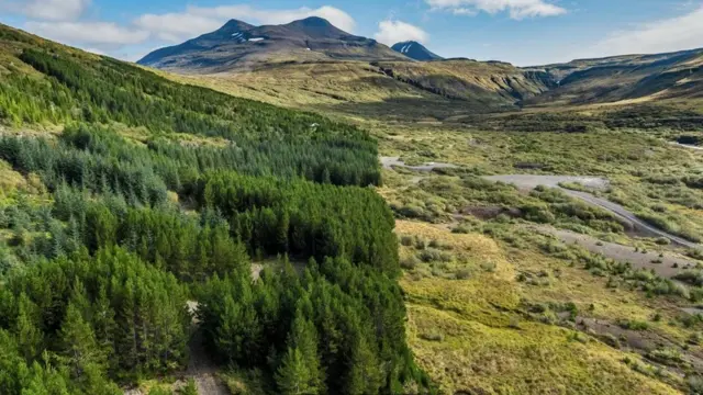 تولي طائفة آساترو أهمية كبيرة للطبيعة، ودعمت جهودا لإعادة تشجير أجزاء من أيسلندا