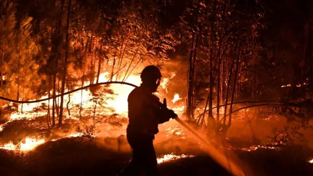 காட்டுத்தீ