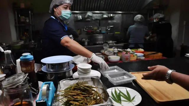 มาตรการล็อกดาวน์ที่ผ่านมาส่งผลให้ร้านอาหารต้องปิดทำให้ความต้องการใบกัญชาต้องหยุดชะงัก เกษตรกรหลายกลุ่มได้รับผลกระทบเช่นกัน