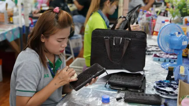 مزرعه پرورش تمساح