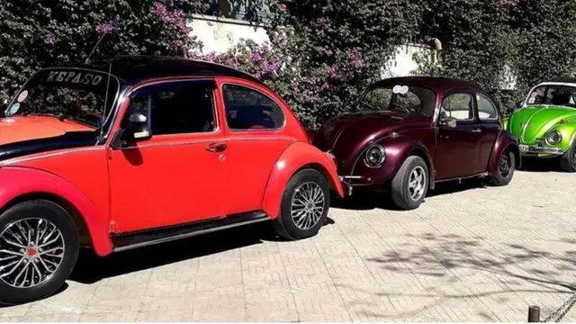 ቮልስዋገኖች ተደርድረው