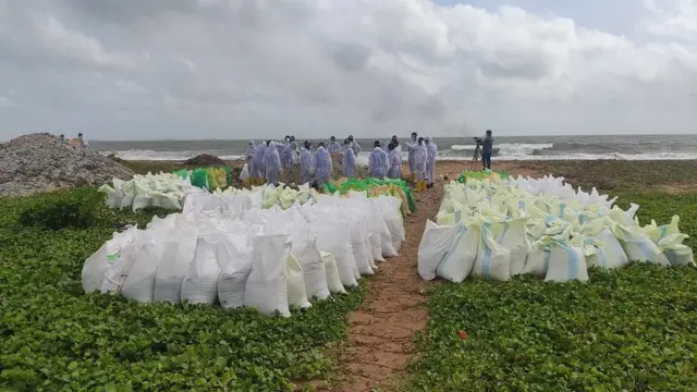 கடலில் சாம்பல்