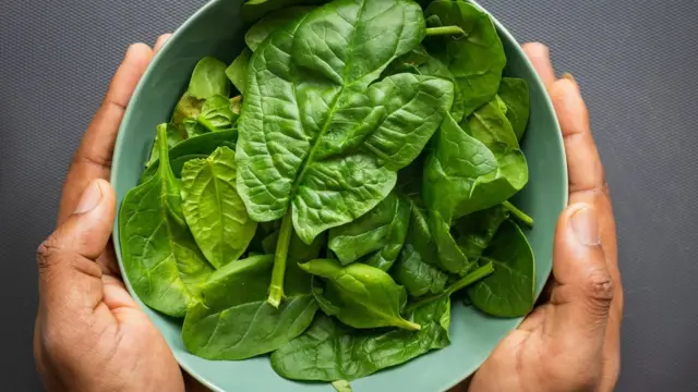 Хто такі овочі та як їх розрізняти? Короткий гід весняною городиною