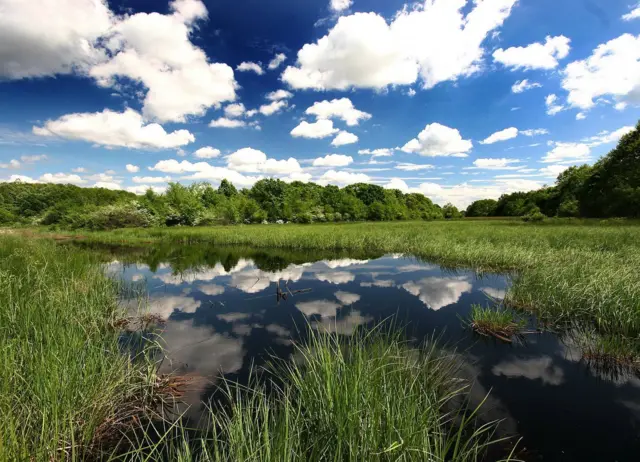 Specijalni rezervat prirode „Gornje Podunavlje"