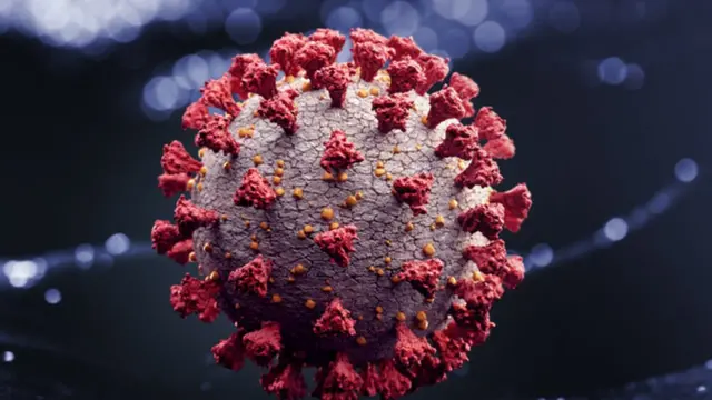 கொரோனா வைரஸ்
