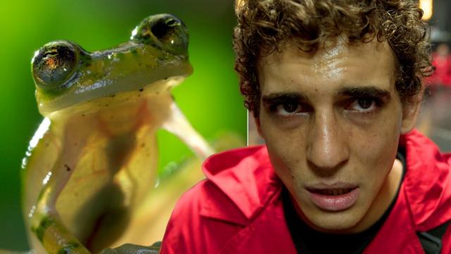 Colagemjogar pela internet na mega senaimagensjogar pela internet na mega senadois programas, uma mostrando sapo e outra um homem