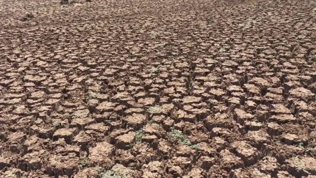 સૂકેલી ધરતી