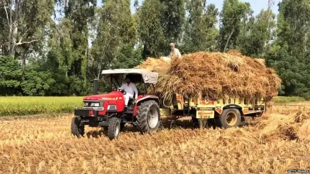 ਫਸਲ