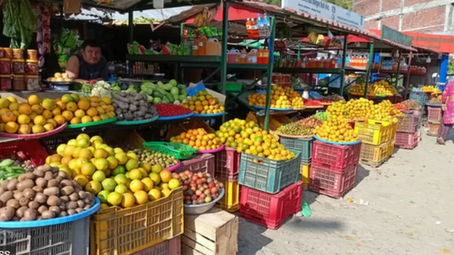 सब्जियां