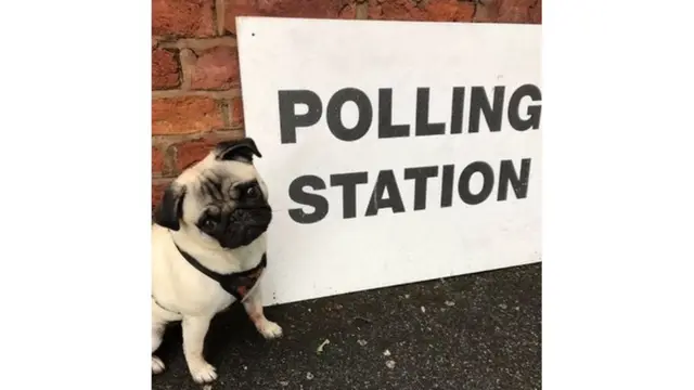 Screen grab of tweet by @SAMiCURE