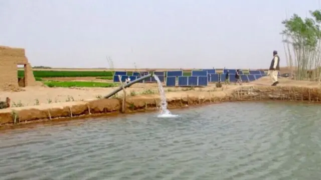 مزارع يقف بجانب مضخة تعمل بالطاقة الشمسية في إقليم هلمند