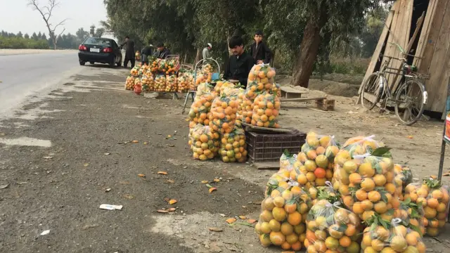 بایسکل