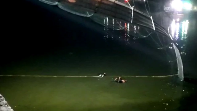 પુલ દુર્ઘટના