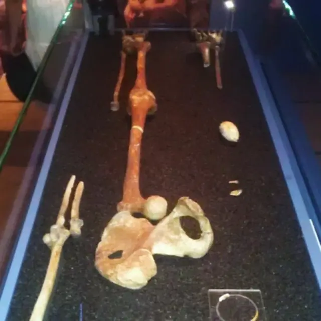 Скелет из древнейшего захоронения на Британских островах, так называемая, "Красная дама"