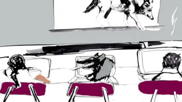 ইন্টারনেট সোশ্যাল মিডিয়া