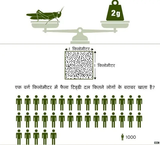 टिड्डियों का हमला