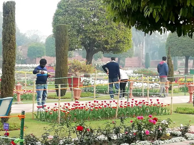 ਰਾਸ਼ਟਰਪਤੀ ਭਵਨ ਦੇ ਅੰਦਰ ਬਣਿਆ ਮੁਗਲ ਗਾਰਡਨ