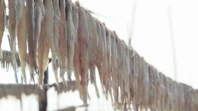 ဖော်မလင်