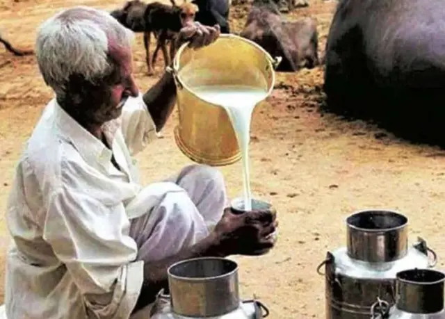 पश्चिम बंगाल दूध डेयरी