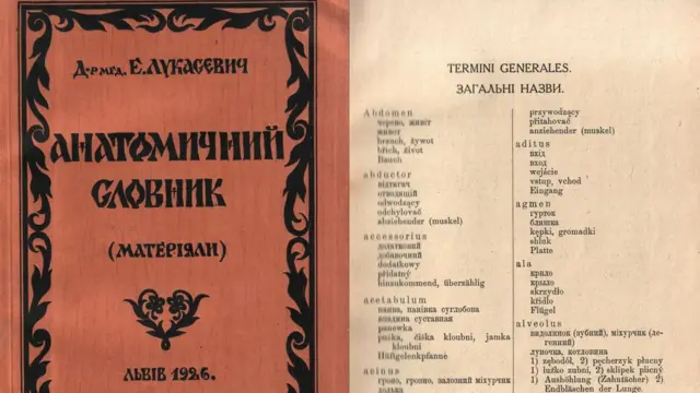 Анатомічний словник
