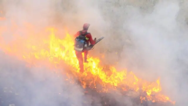 آتش‌سوزی جنگل‌های بلوط در چهارمحال و بختیاری