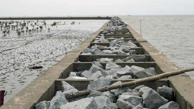 Đê ngăn nước mặn ngập vào đồng ruộng ở Đồng bằng sông Cửu Long
