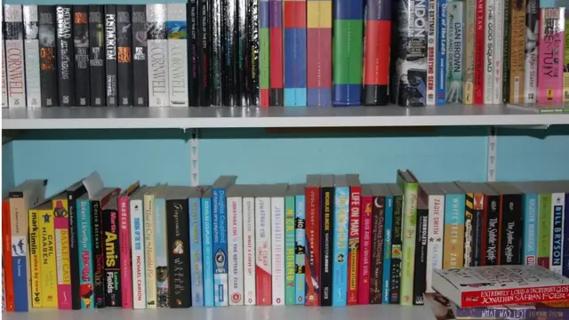 Akwụkwọ nke a kpọrọ "novel"