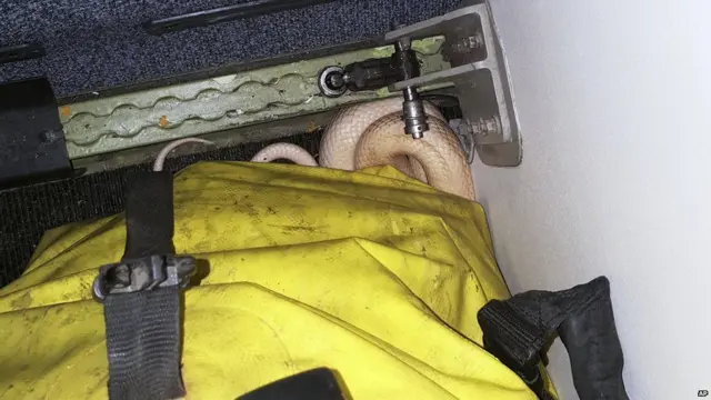 আসনের নিচে একটি ব্যাগে আংশিক মুড়িসুড়ি দিয়ে ঘুমাচ্ছিল সাপটি