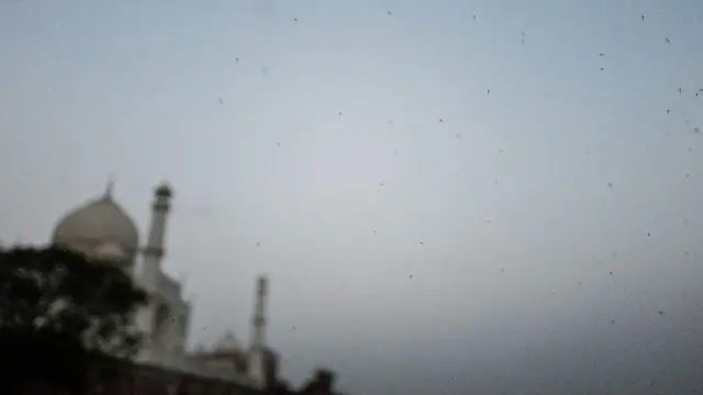 తాజ్‌మహల్