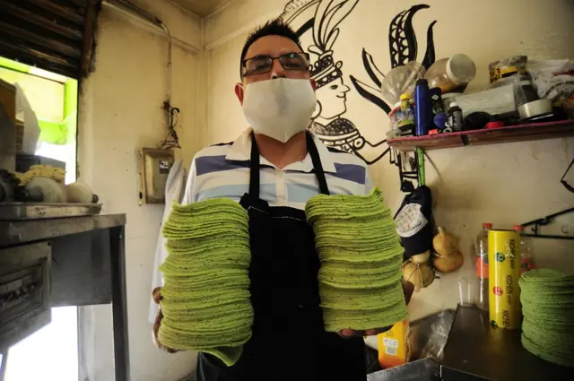 नोपल कैक्टस