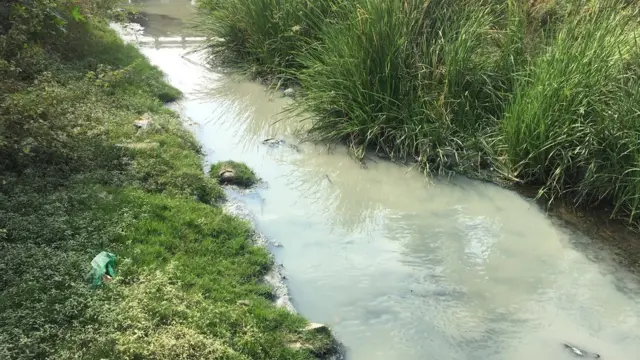 கழிவு நீரோடை