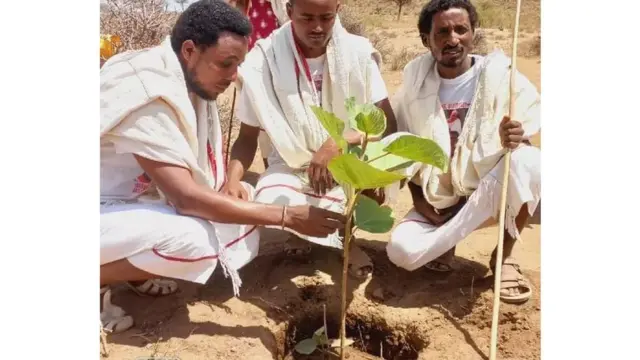 Biqiltuu Odaa dhaabame