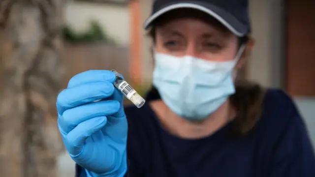 Виразка Бурулі