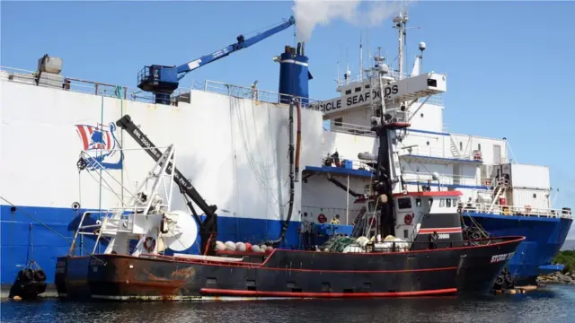 每年有来自14个国家的400艘船只在这里入港，捕鱼量达数亿磅。