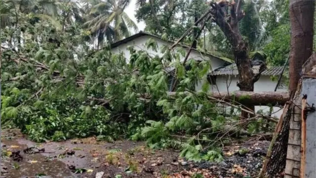 वादळामुळे कोकण नुकसान