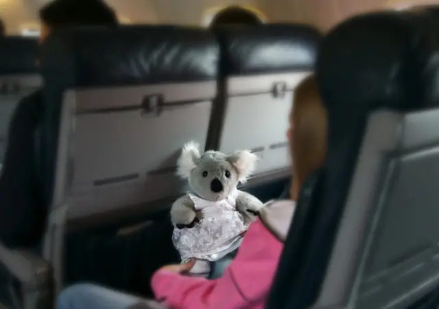 Ребенок в самолете