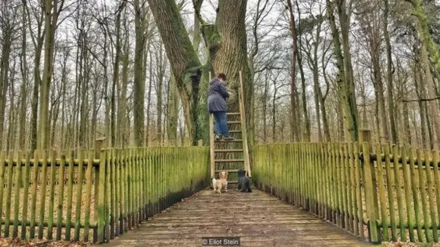 Mulher faz uma pausa para ler as correspondências, enquanto seus dois cachorros esperam