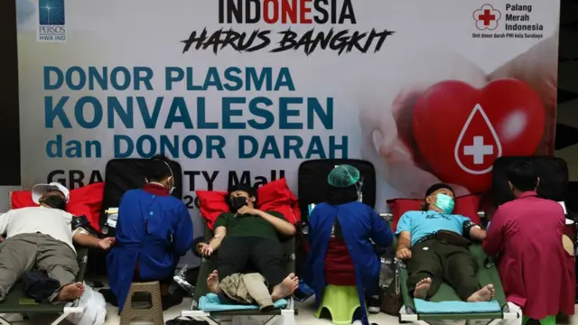 donor plasma konvalesen