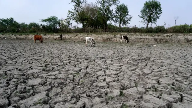 இந்தியா வெப்ப அலை 2022