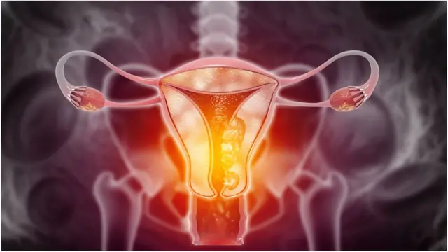 মেনোপজের ফলে নারীর শরীরে ইস্ট্রোজেন নামের একটি হরমোন কমে যায়।