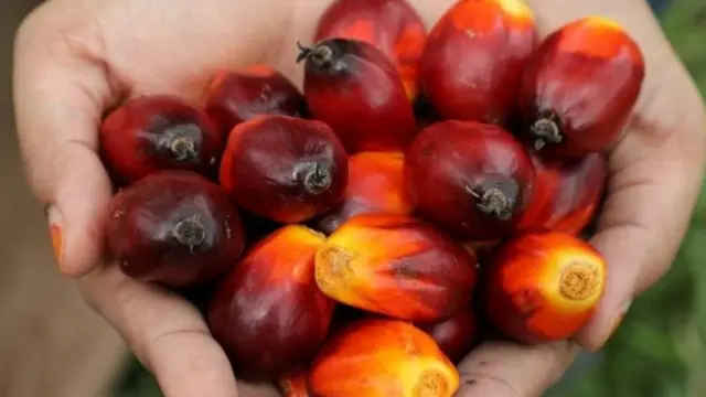 சுத்திகரிக்கப்பட்ட பாமாயில்