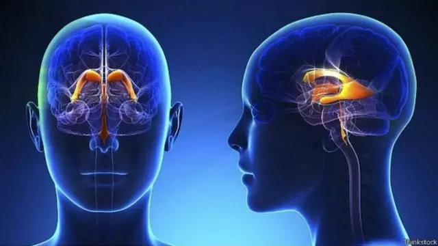 ਲੰਬੇ ਲੋਕ