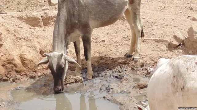 अन्ना प्रथा, बुंदेलखंड, उत्तर प्रदेश