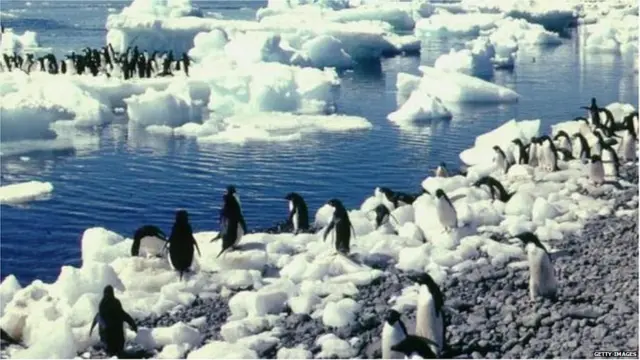 दहशतवाद