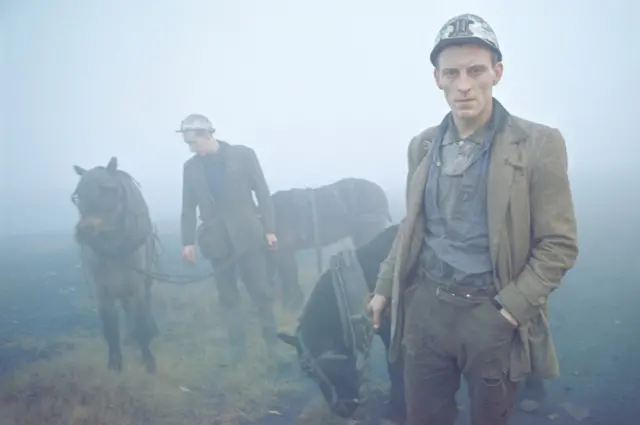 Даремские шахтеры со своими рабочими пони, 1965 г.