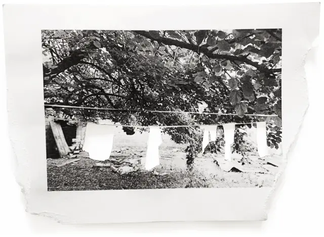 Мирная жизнь