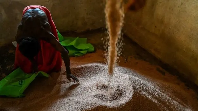 Rice produced in Sri Lnaka