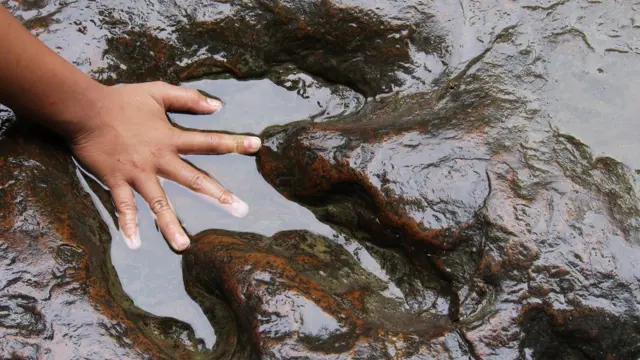 Huella de dinosaurio