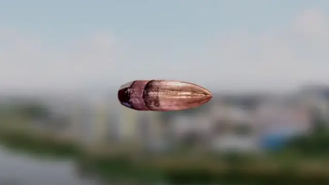 துப்பாக்கி குண்டு